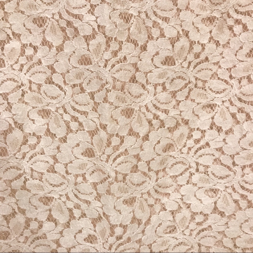 Pale Pink Sheer Lace Cap Sleeve Blouse - Picture 4 of 6